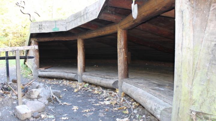 Nidhug Yggdrasil shelter